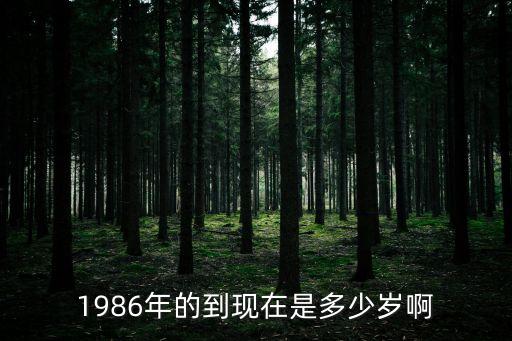 1986年的到現(xiàn)在是多少歲啊