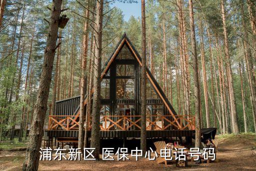 上海醫(yī)保咨詢熱線