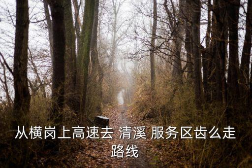 從橫崗上高速去 清溪 服務(wù)區(qū)齒么走路線