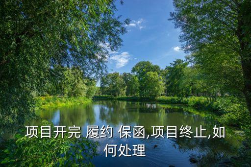 項(xiàng)目開完 履約 保函,項(xiàng)目終止,如何處理