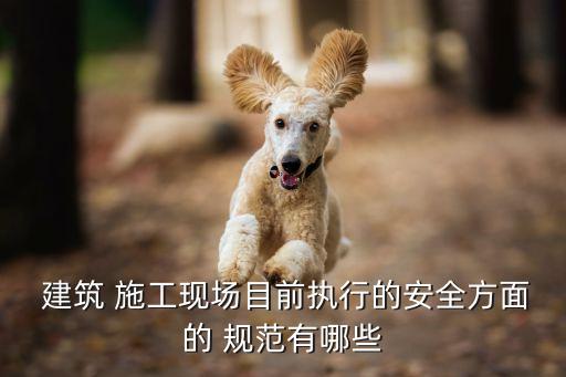 建筑施工安全規(guī)范,河北省建筑施工安全規(guī)范