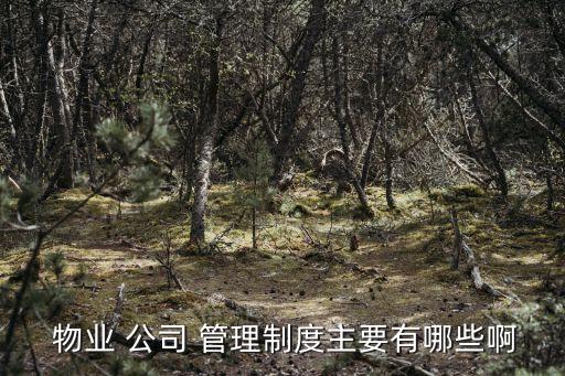  物業(yè) 公司 管理制度主要有哪些啊