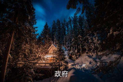 有限政府