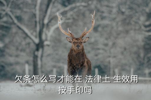個(gè)人欠條怎么寫才能在法律上生效,欠錢不還2023新執(zhí)行辦法