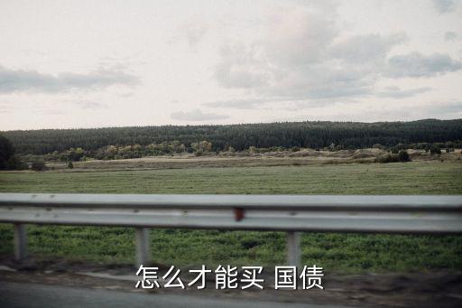 怎樣購買國債