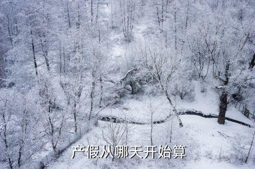 產(chǎn)假怎么算,辭退員工賠償碰到產(chǎn)假怎么算