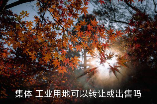 集體工業(yè)