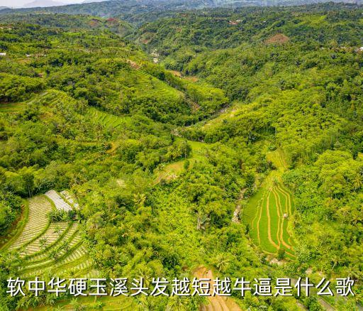 軟中華硬玉溪頭發(fā)越短越牛逼是什么歌