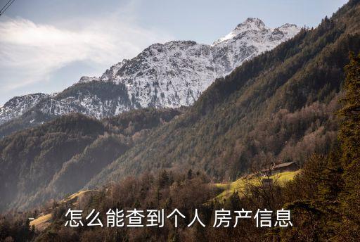 怎么能查到個(gè)人 房產(chǎn)信息