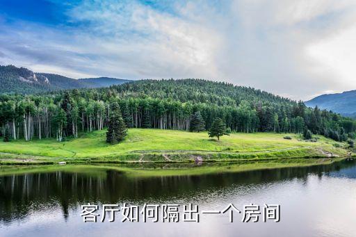  客廳如何隔出一個房間