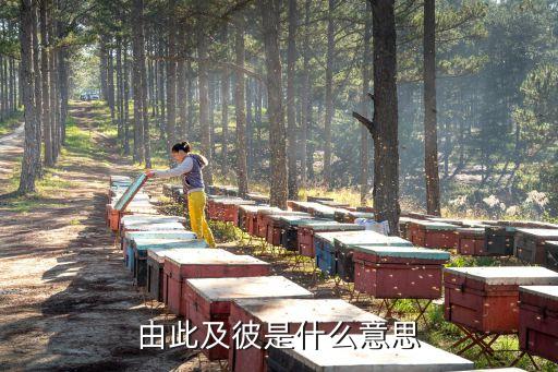 由此