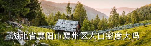 湖北省襄陽市襄州區(qū)人口密度大嗎