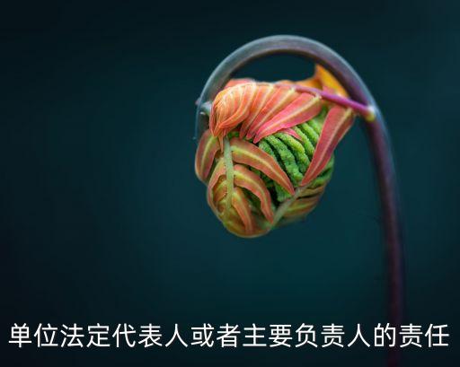 總經(jīng)理負責(zé)制,公司總經(jīng)理負責(zé)制