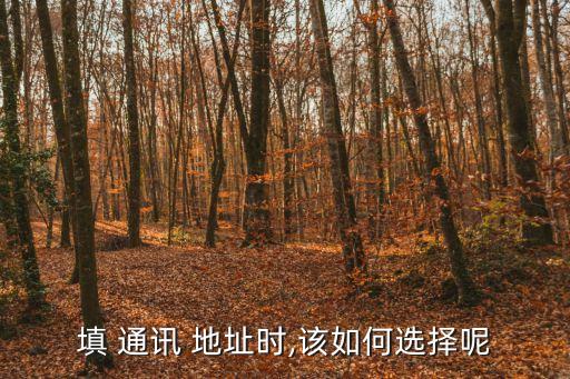 通訊地址怎么填,三方協(xié)議乙方通訊地址怎么填