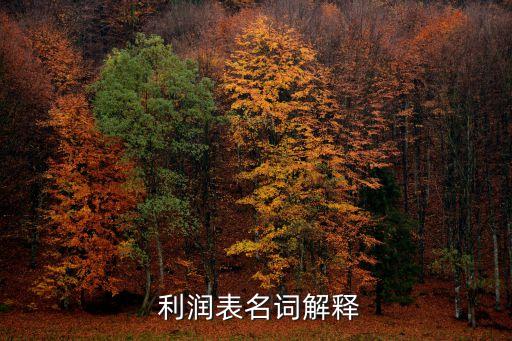 企業(yè)利潤表