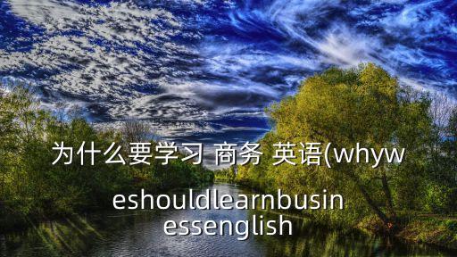 為什么要學(xué)習(xí) 商務(wù) 英語(whyweshouldlearnbusinessenglish