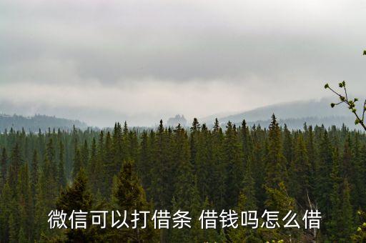  微信可以打借條 借錢嗎怎么借