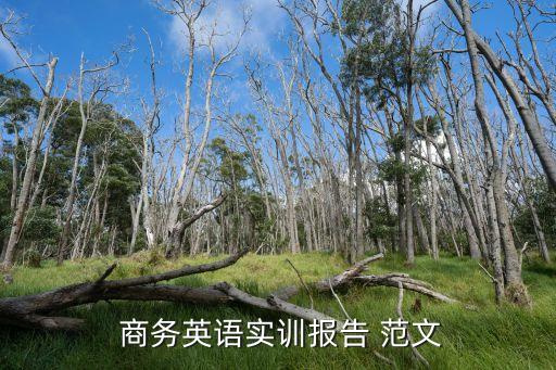 商務合同英漢互譯技巧論文范文