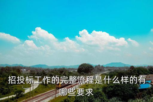 律所招投標(biāo)服務(wù)方案