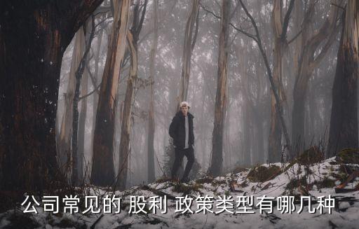 公司常見的 股利 政策類型有哪幾種