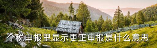 個(gè)稅申報(bào)里顯示更正申報(bào)是什么意思