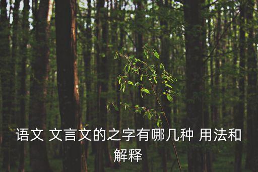 文言文中之字的用法口訣,愛字文言文用法