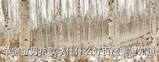李仕強
