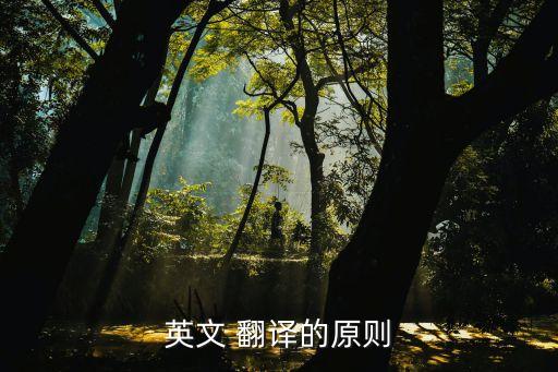 英文 翻譯的原則