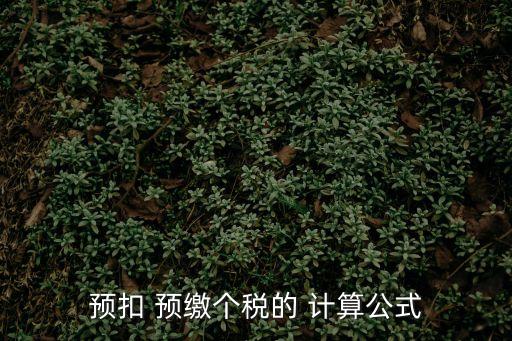 預(yù)扣 預(yù)繳個(gè)稅的 計(jì)算公式
