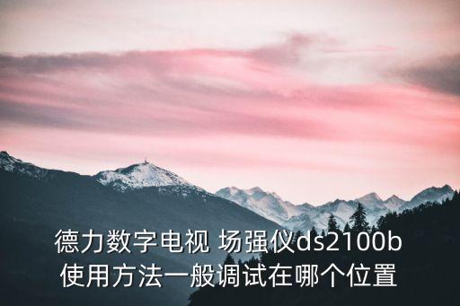 場強儀