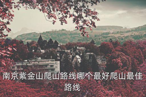 南京紫金山爬山路線哪個(gè)最好爬山最佳路線
