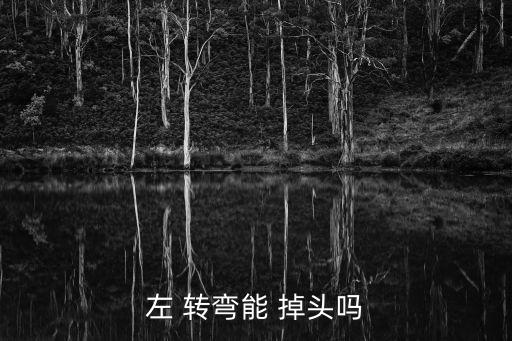 左 轉(zhuǎn)彎能 掉頭嗎