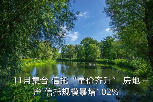 11月集合 信托“量?jī)r(jià)齊升” 房地產(chǎn) 信托規(guī)模暴增102%