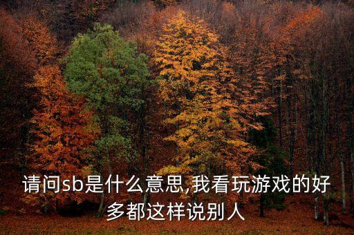 請問sb是什么意思,我看玩游戲的好多都這樣說別人