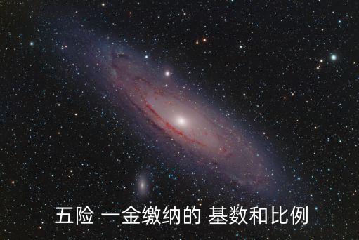  五險 一金繳納的 基數(shù)和比例