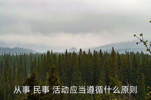 從事 民事 活動應當遵循什么原則