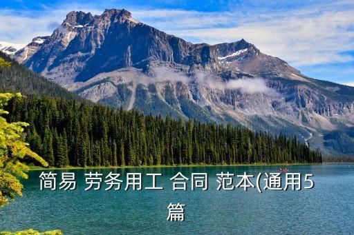 簡(jiǎn)易 勞務(wù)用工 合同 范本(通用5篇