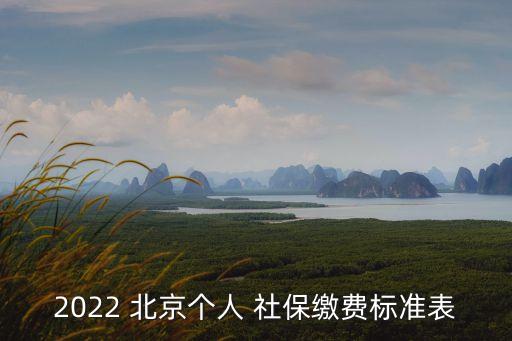 2022 北京個人 社保繳費(fèi)標(biāo)準(zhǔn)表