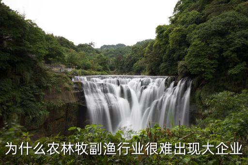 為什么農(nóng)林牧副漁行業(yè)很難出現(xiàn)大企業(yè)