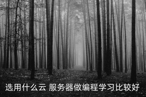 選用什么云 服務(wù)器做編程學習比較好