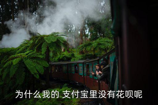 為什么我的 支付寶里沒有花唄呢