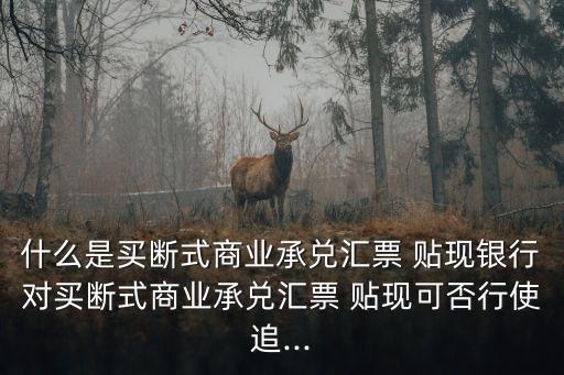 商票貼現(xiàn)