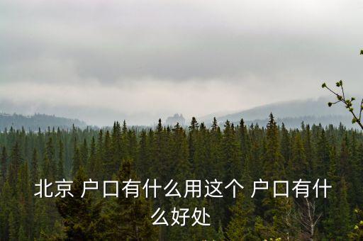 北京戶(hù)口好處,北京入戶(hù)口新政策2023