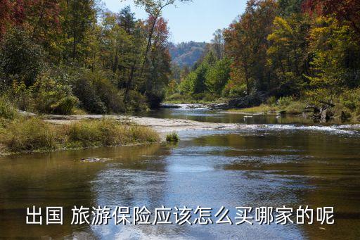 出國 旅游保險應(yīng)該怎么買哪家的呢