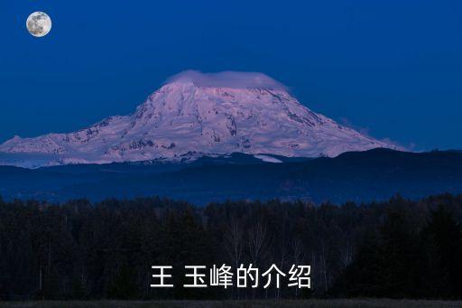 王玉峰