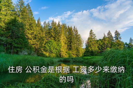 公積金是按照工資的多少比例交,公務(wù)員公積金是按照工資的多少比例交
