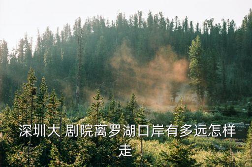  深圳大 劇院離羅湖口岸有多遠怎樣走