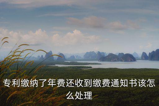 專利繳納了年費還收到繳費通知書該怎么處理