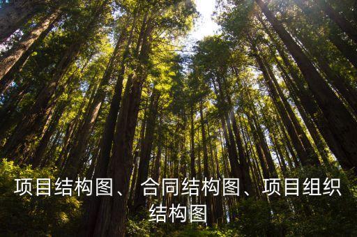 項目結構圖、 合同結構圖、項目組織結構圖