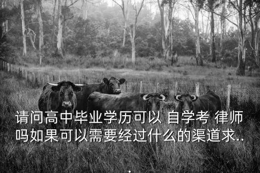 請(qǐng)問高中畢業(yè)學(xué)歷可以 自學(xué)考 律師嗎如果可以需要經(jīng)過什么的渠道求...